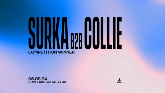 Surka b2b Collie