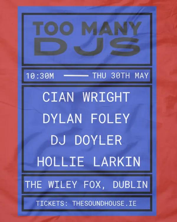 The Wiley Fox presents: TOO MANY DJ's - 30/5